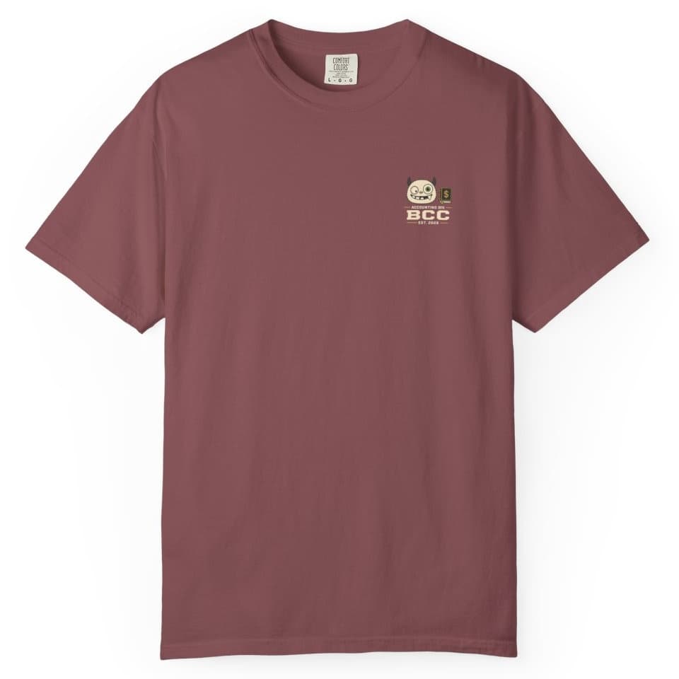 Accounting Division Notes t-shirt in Brick, photo 2