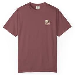 Accounting Division Notes t-shirt in Brick, thumbnail 2