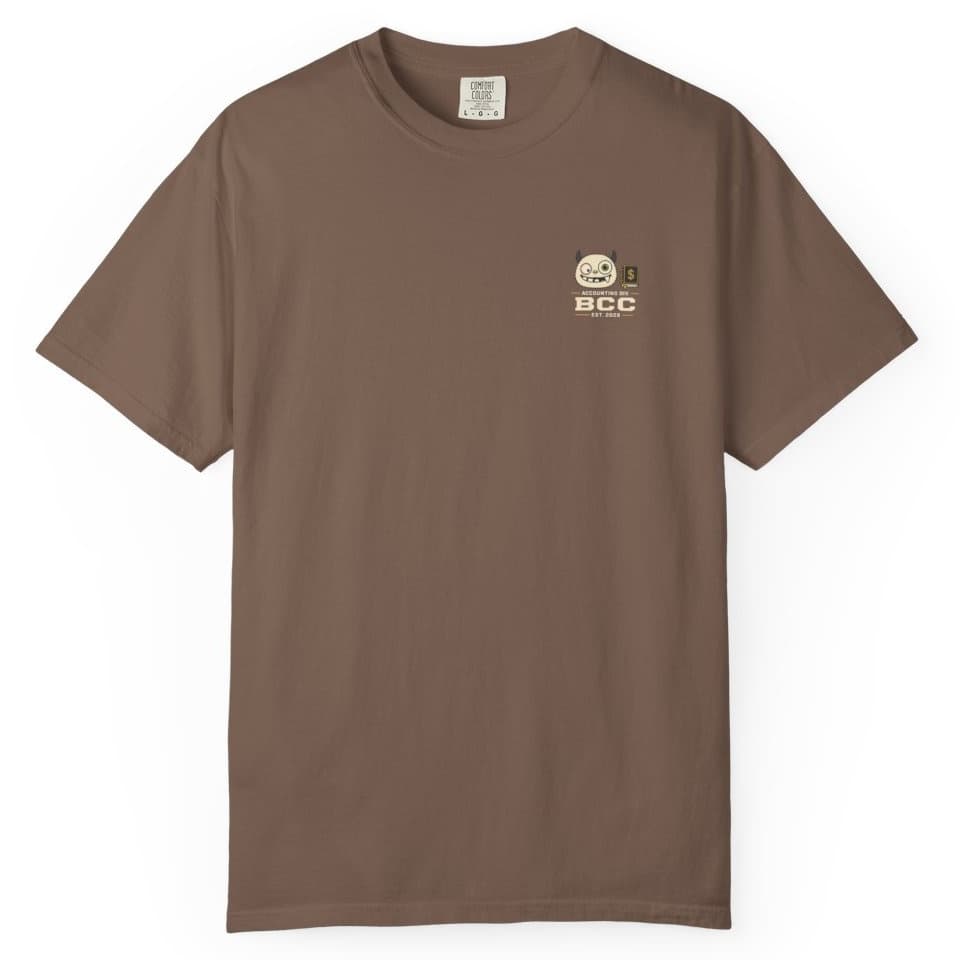 Accounting Division Notes t-shirt in Brick, photo 8
