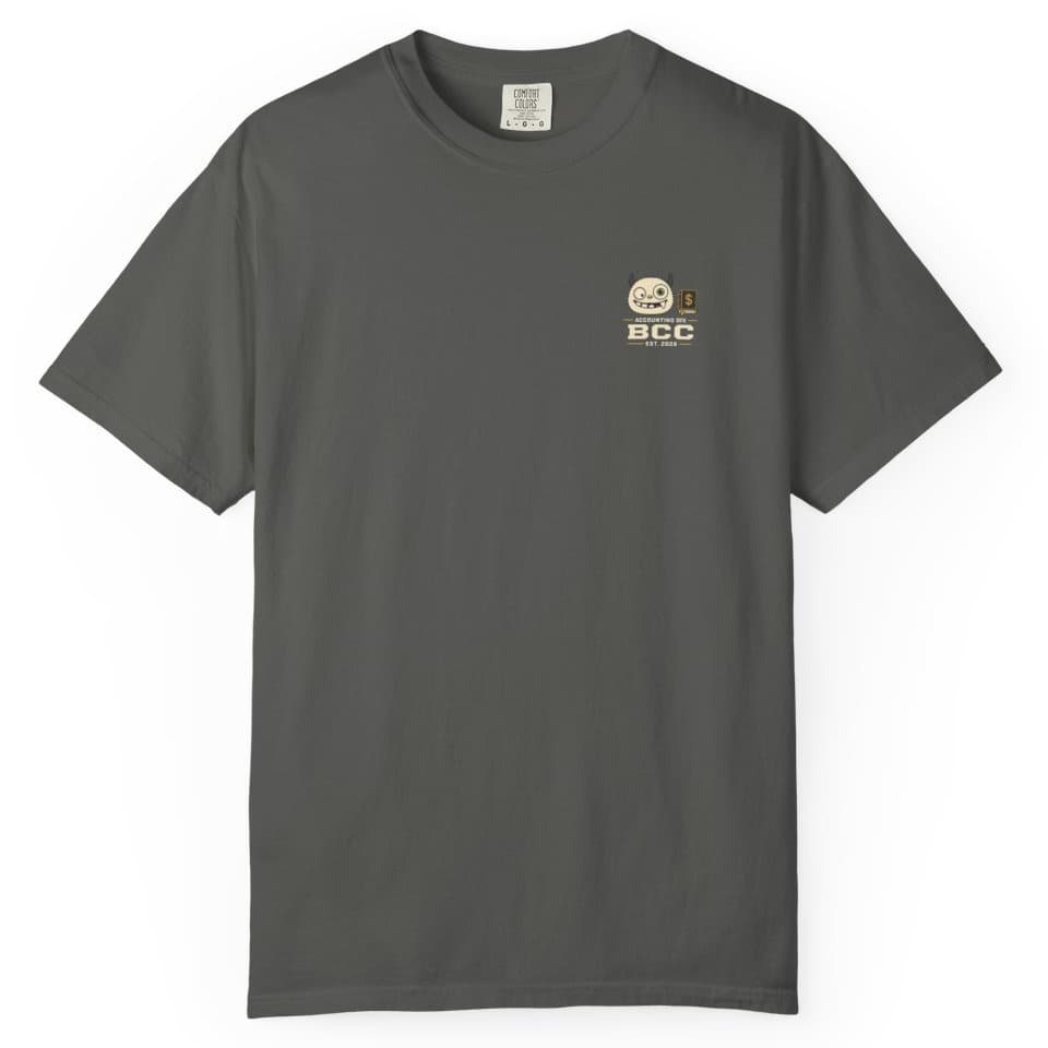 Accounting Division Notes t-shirt in Brick, photo 10