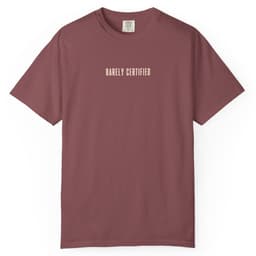 Certification Dept t-shirt in Pepper, thumbnail 18