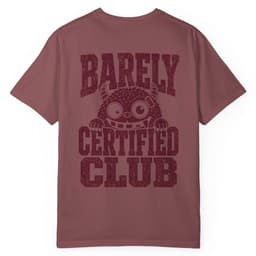 Barely Certified Stealth t-shirt in Black, thumbnail 19