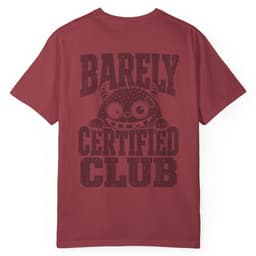 Barely Certified Stealth t-shirt in Black, thumbnail 11