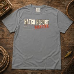 Hatch Report Disputed t-shirt in Black, thumbnail 7