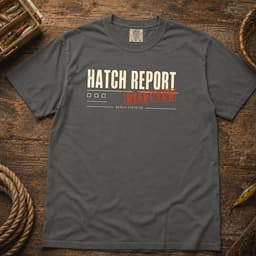 Hatch Report Disputed t-shirt in Black, thumbnail 4