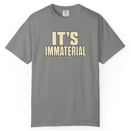 It's Immaterial t-shirt in Blue Jean, thumbnail 8