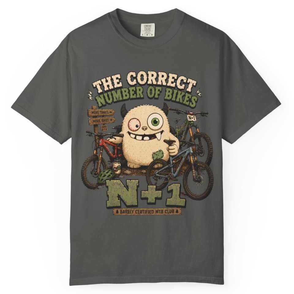 Correct Number of Bikes t-shirt in Espresso, photo 4