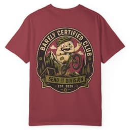 Send It Division t-shirt in Granite, thumbnail 13