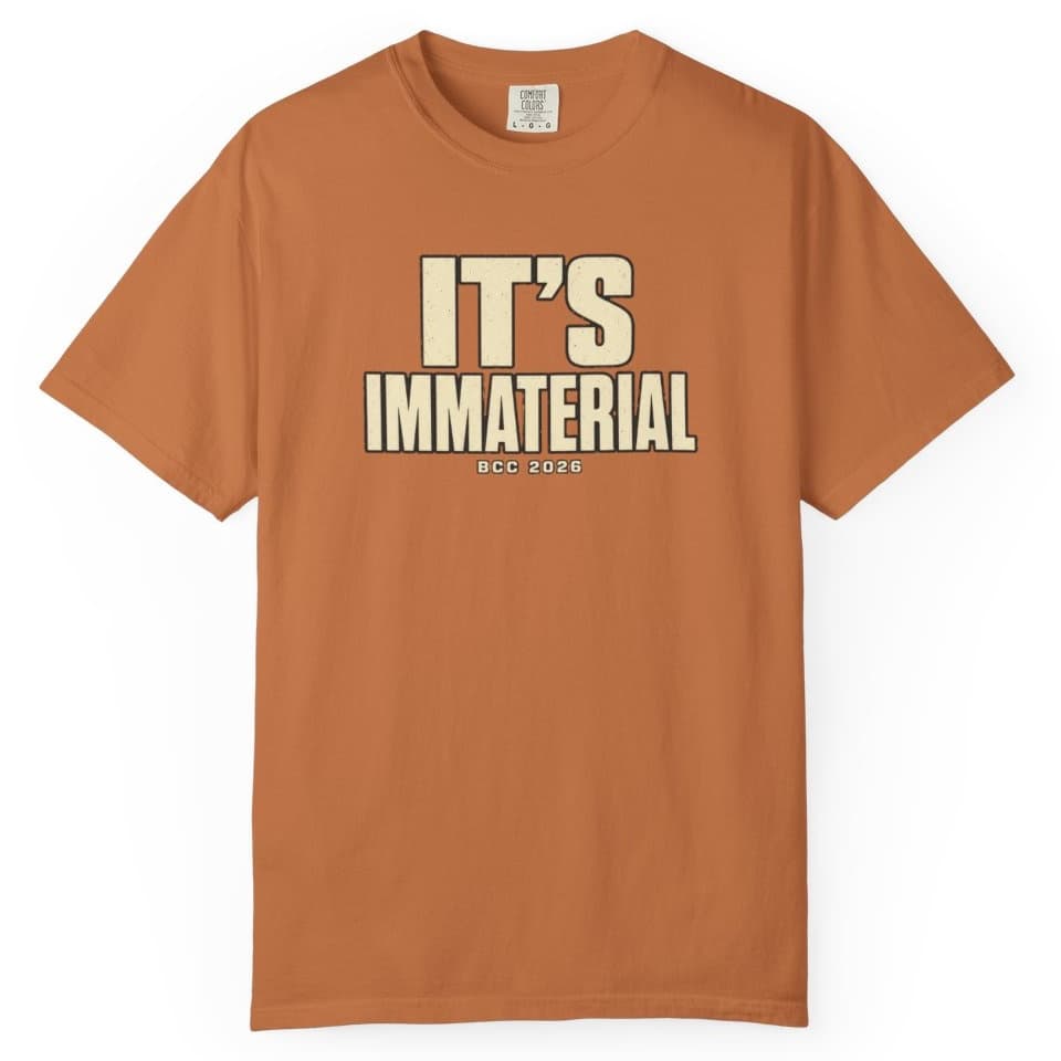 It's Immaterial t-shirt in Blue Jean, photo 10